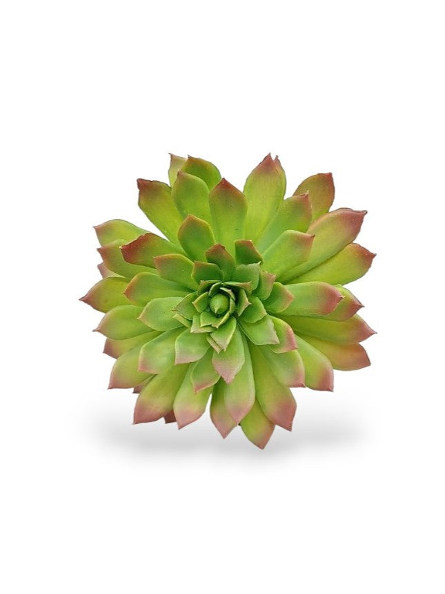 SUCCULENT PICK 6"