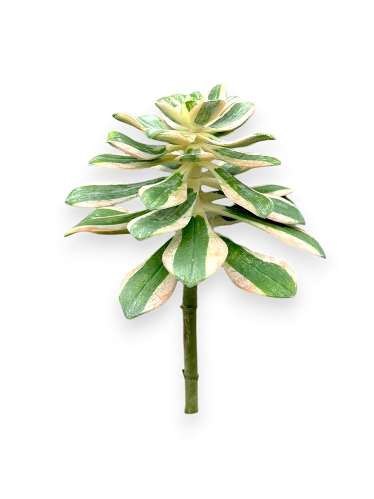 SUCCULENT PICK 12"