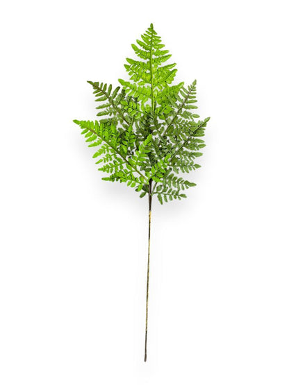Fern Spray 36"