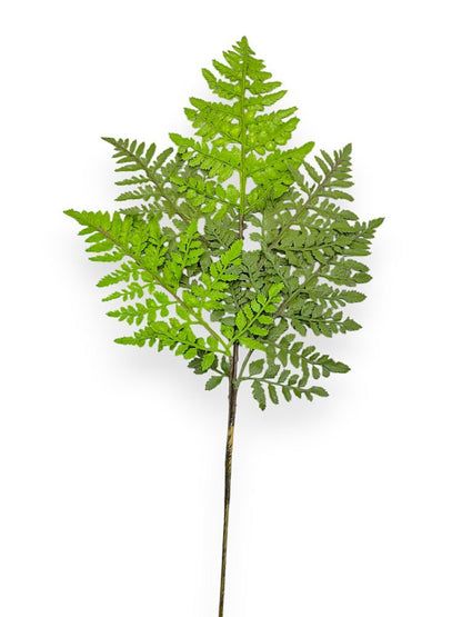 Fern Spray 36"