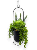 MIX SUCCULENT HNG.POT 26"