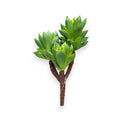 SUCCULENT PICK X3 9"