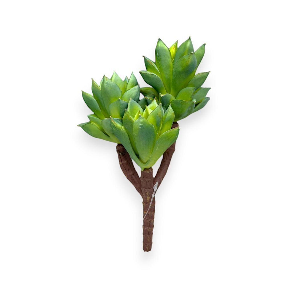 SUCCULENT PICK X3 9"
