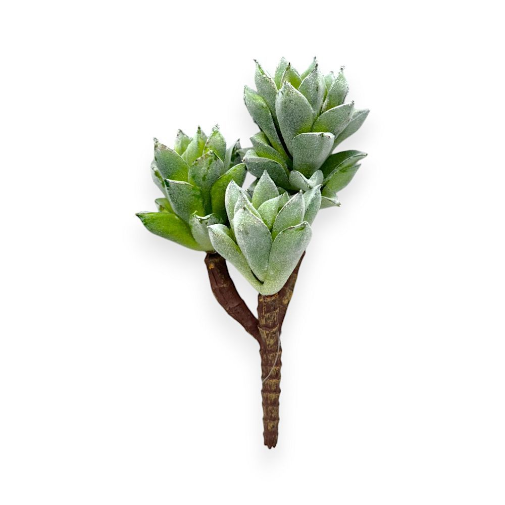 SUCCULENT PICK X3 9"