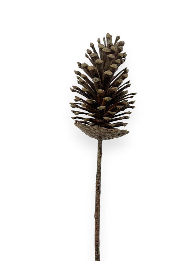Pinecone Stem – 29"