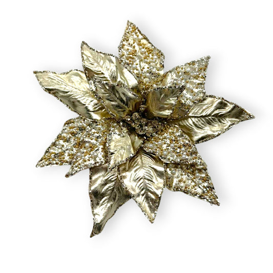 POINSETTIA GOLD PEARL