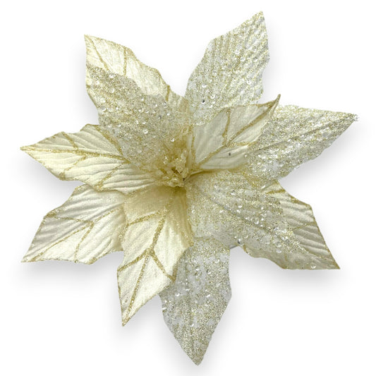 POINSETTIA IVORY GLIT