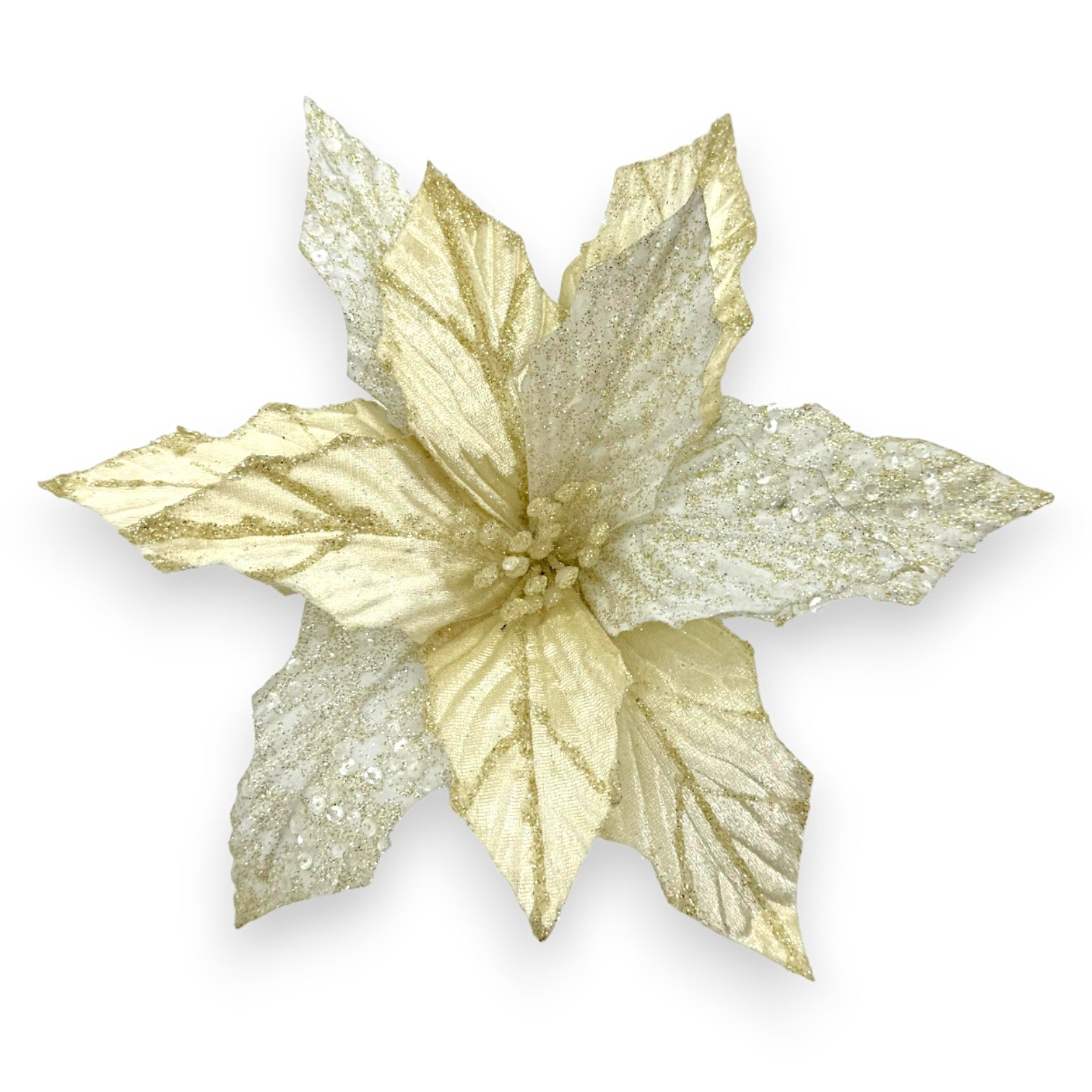 POINSETTIA IVORY GLIT