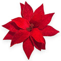 Big Traditional Poinsettia