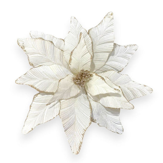 Big Velvet Poinsettia