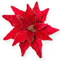 Big Velvet Poinsettia