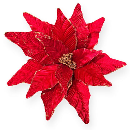 Big Velvet Poinsettia