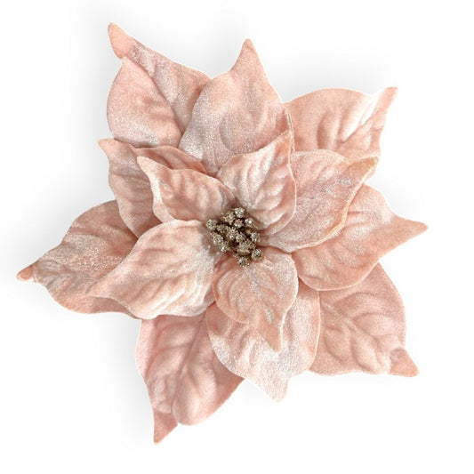 Velvet Poinsettias