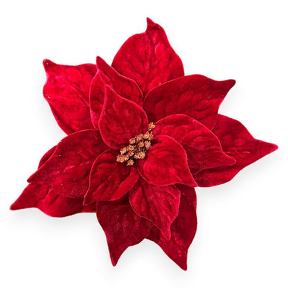 Velvet Poinsettias