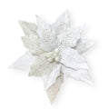 White Poinsettia