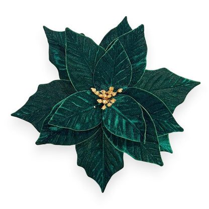 Velvet Poinsettia