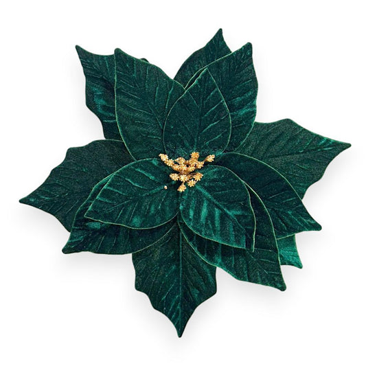 Velvet Poinsettia
