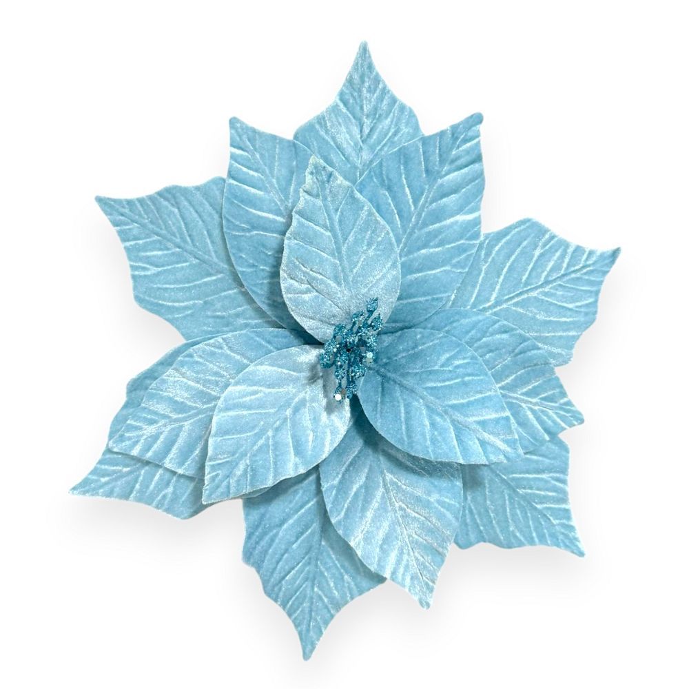 Velvet Poinsettia