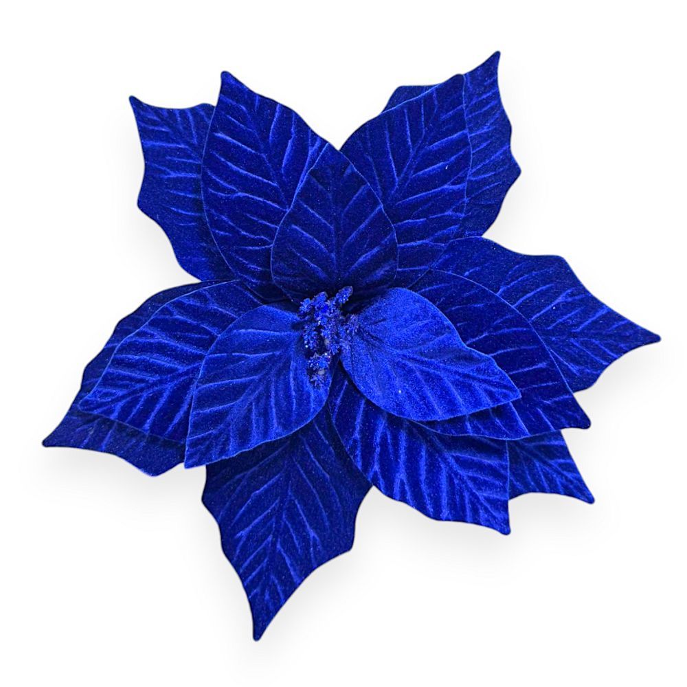 Velvet Poinsettia