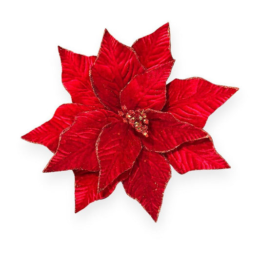 Velvet Glitter-Edge Poinsettia