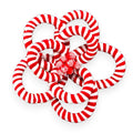 Peppermint Candy Poinsettia