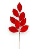 Velvet Leaf Spray with Glitter Trim 26"