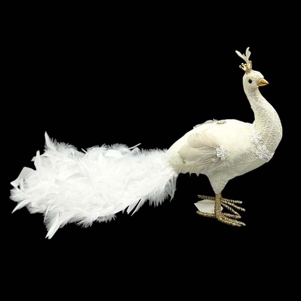 WHITE PEACOCK 20"
