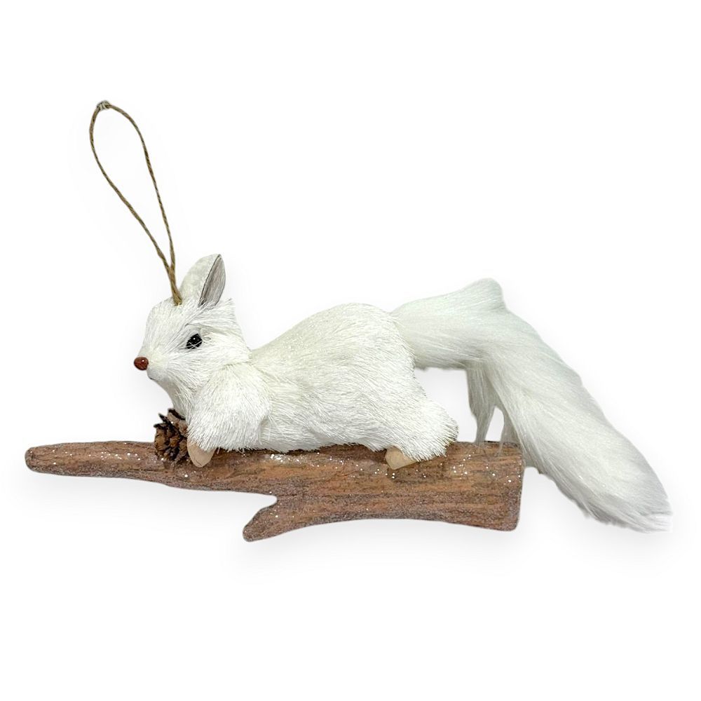 Squirrel on Log with Pinecone