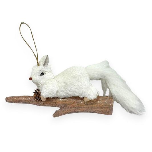 Squirrel on Log with Pinecone
