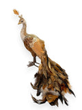 Gold & Brown Feathered Peacock with Crown