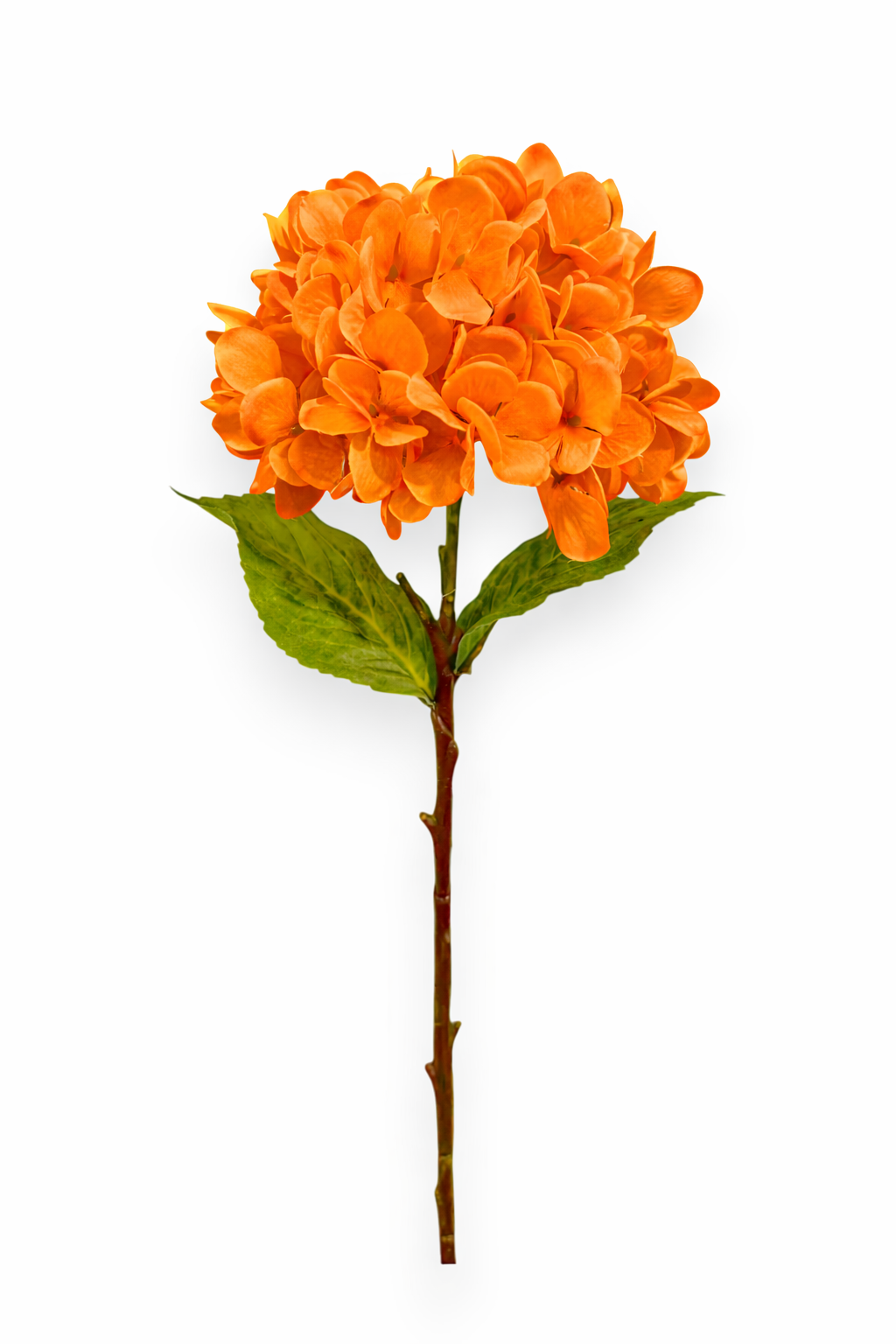 HYDRANGEA STEM 20"