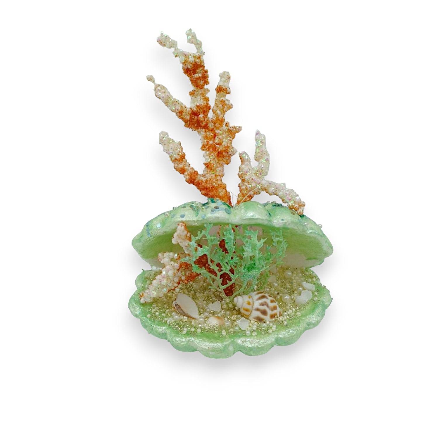 GR CLAM W/ CORAL 5"