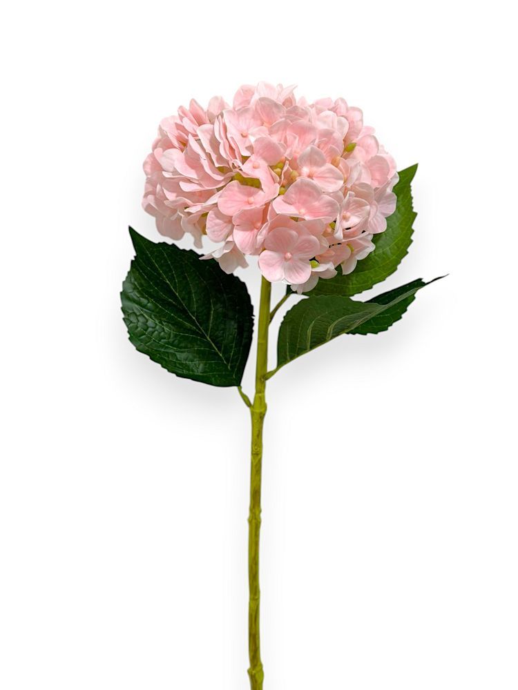 HYDRANGEA SPRAYX1 19" NAT.TOUCH
