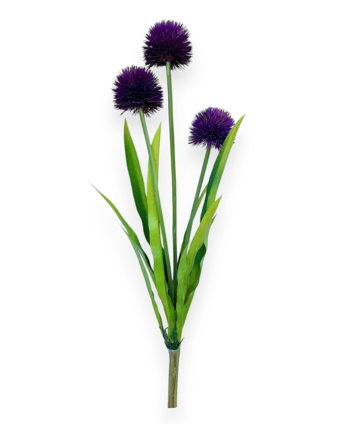 POM POM ALLUIM BUSH 24"