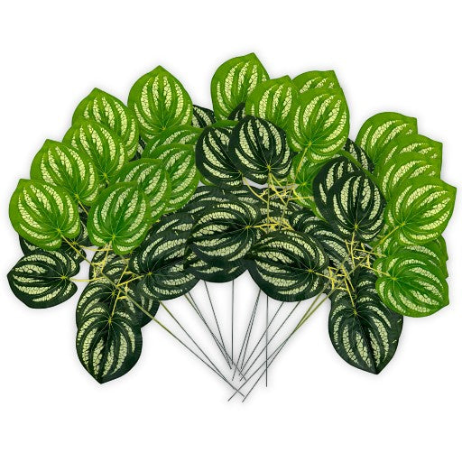 Peperomia Leaf Spray 17" (12pcs)
