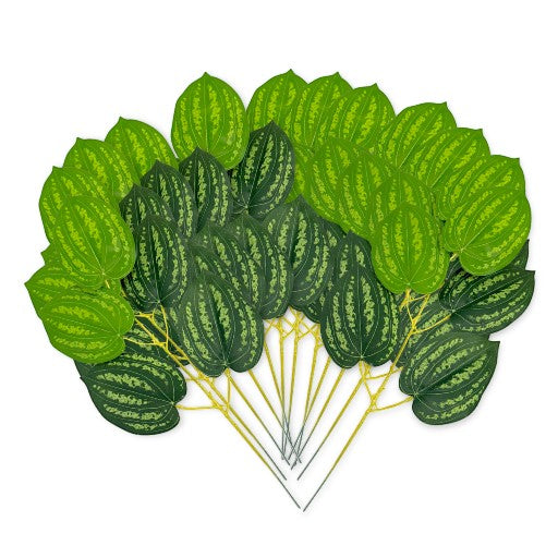 Peperomia Leaf Stem 21" (12pcs)