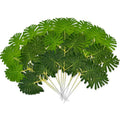 Philodendron Leaf Stem 21" (12pcs)