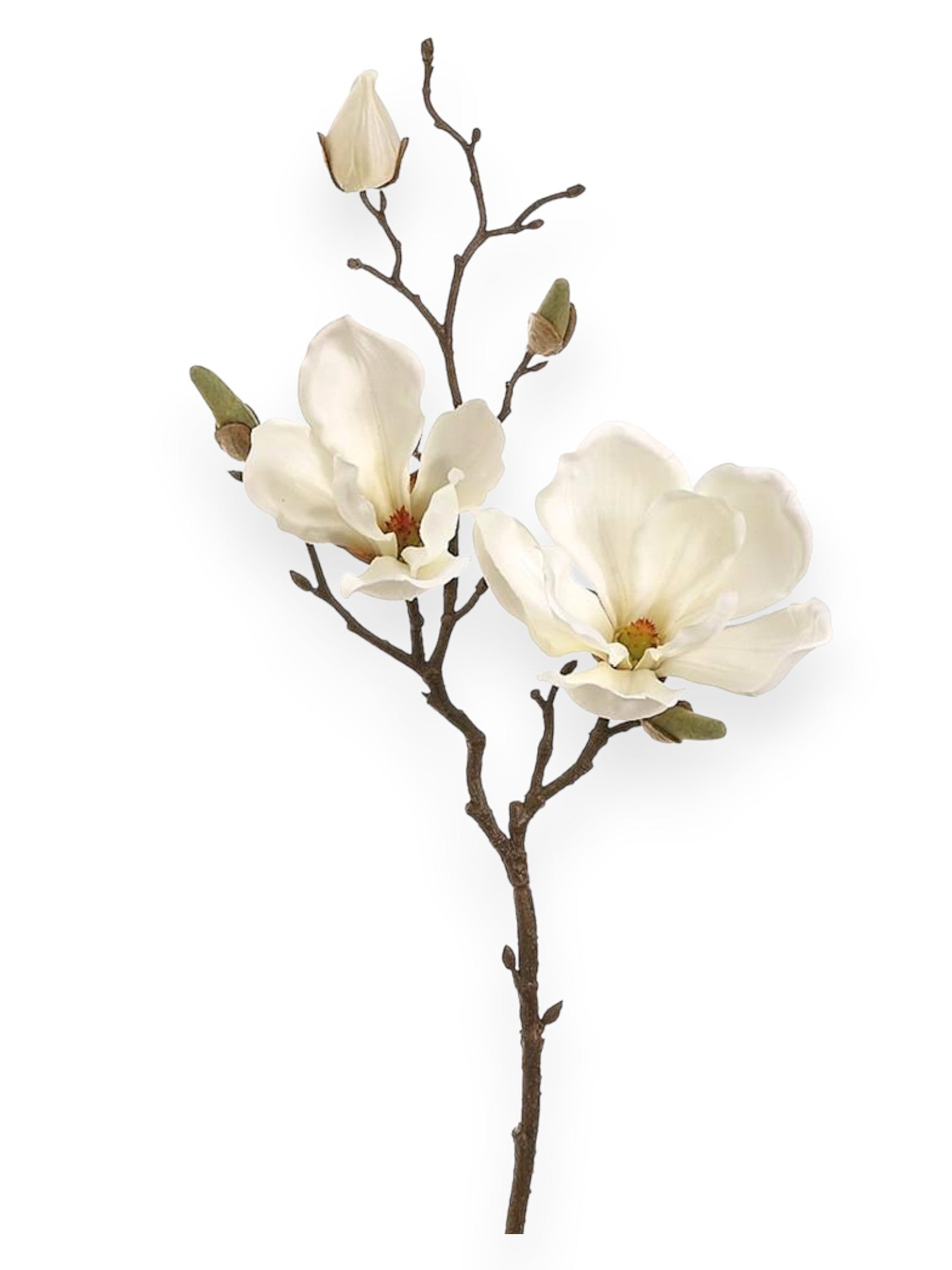 Magnolia Spray 19"