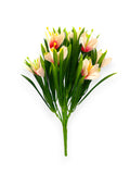 CROCUS BUSH 12"
