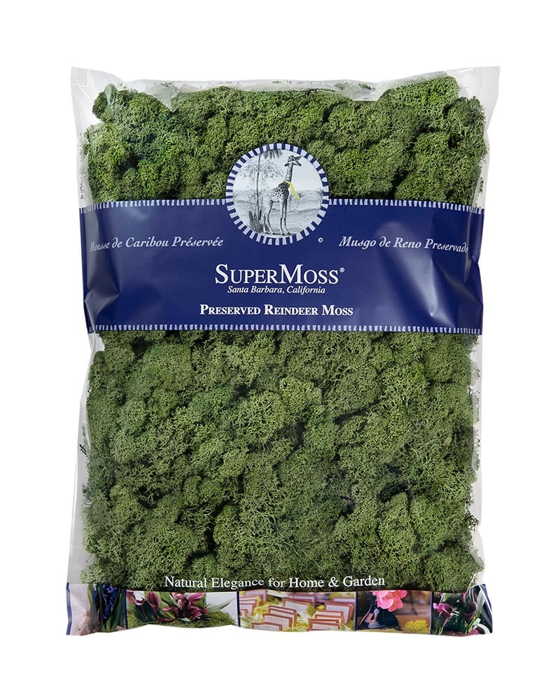 Reindeer Moss 480" cu