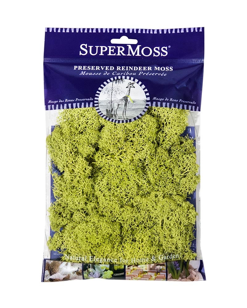 Reindeer Moss 120" cu.