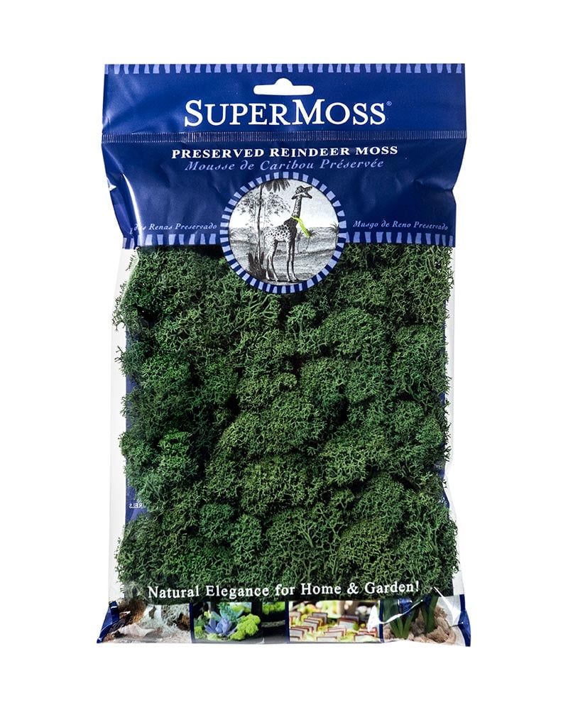 Reindeer Moss 120" cu.