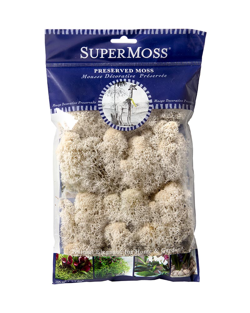 Reindeer Moss 120" cu.