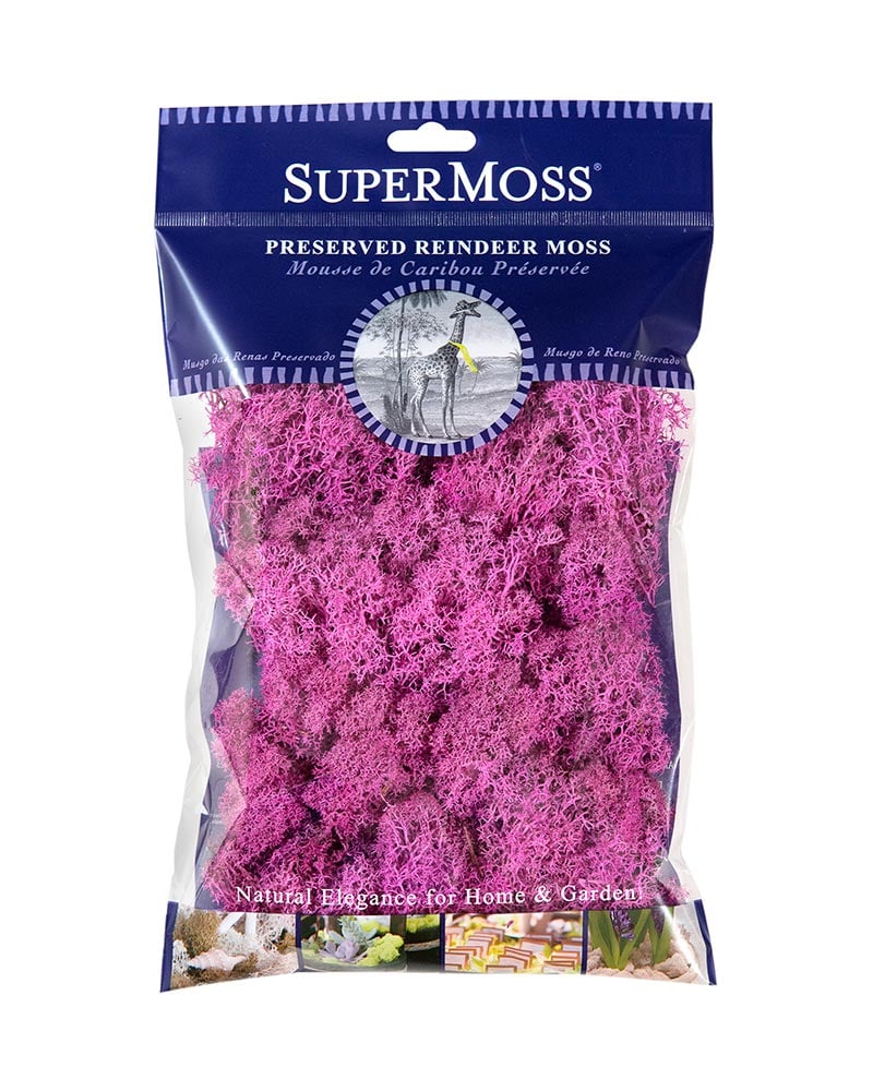 Reindeer Moss 120" cu.