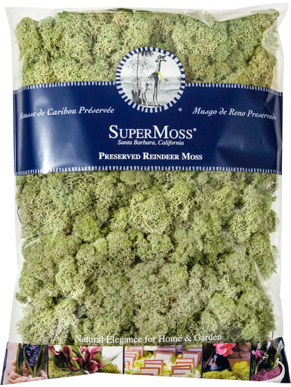 Reindeer Moss 480" cu