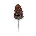 PINECONE PICK 10"