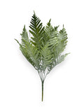 FERN BUSH DUSTY 2PCS