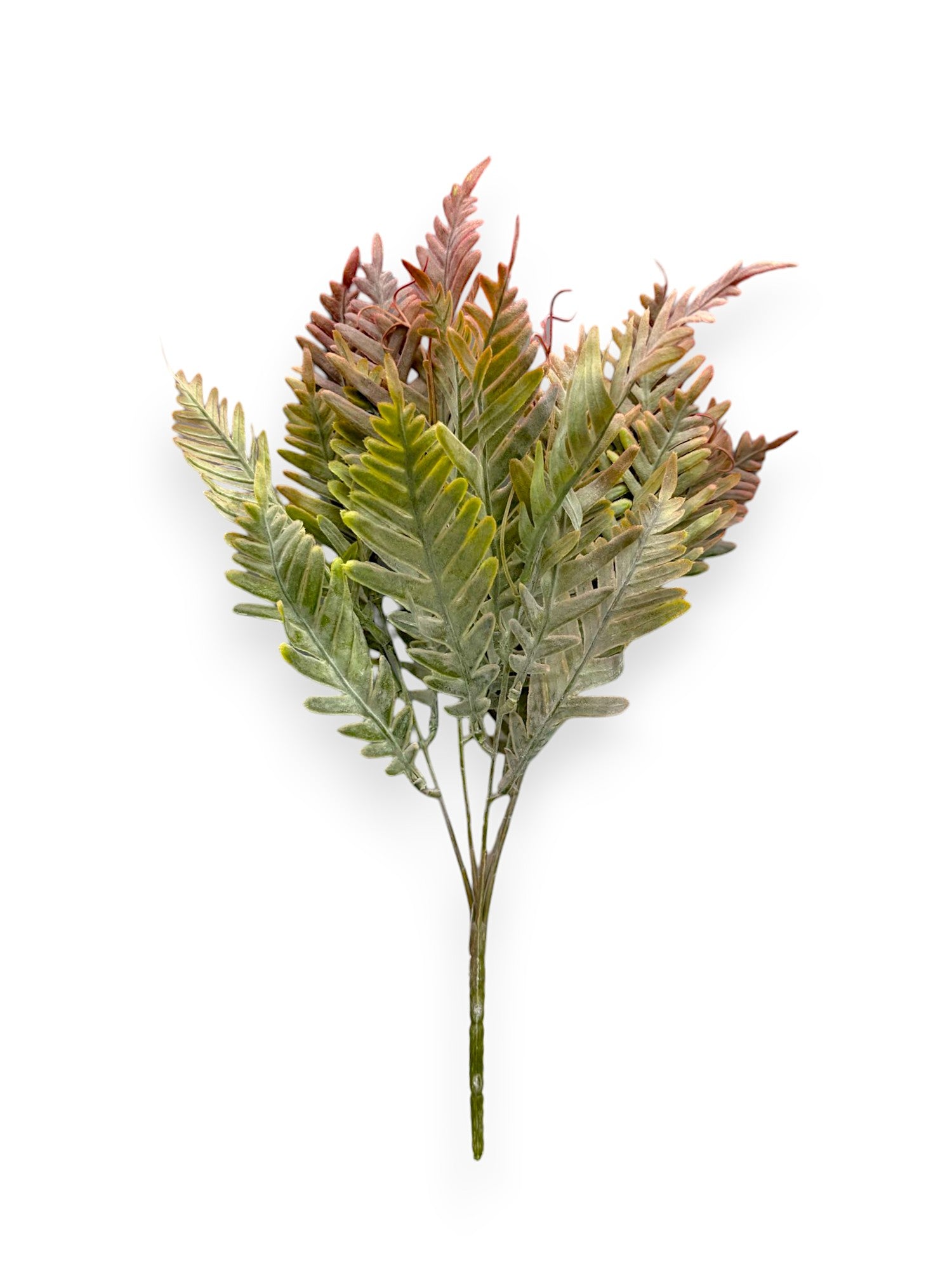 FERN BUSH DUSTY 2PCS