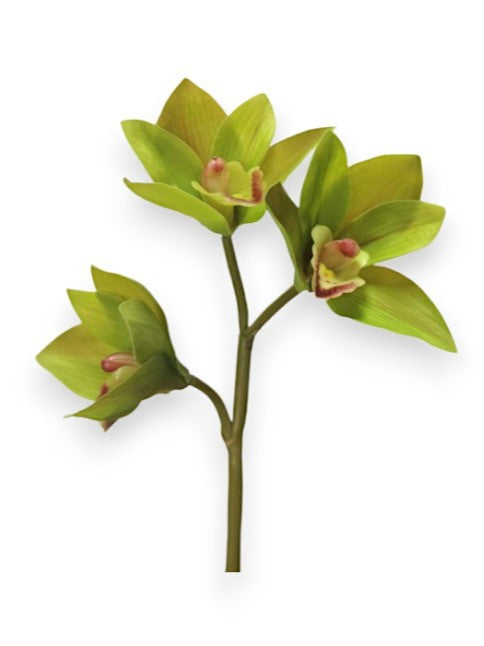 ORCHID CYMB.X3 PICK
