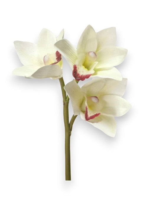 ORCHID CYMB.X3 PICK
